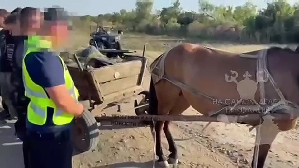 Украинская реальность снова превзошла лучшие сценарии «95 квартала»