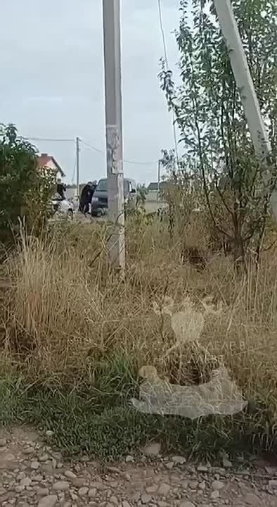 А где можно посмотреть эти "вежливые меры оповещения" с ракурса бодикамер ТЦКшников?