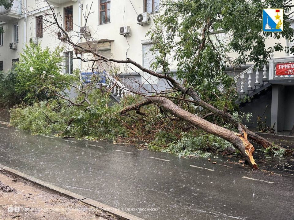 В Севастополе бушует непогода В Севастополе бушует непогода