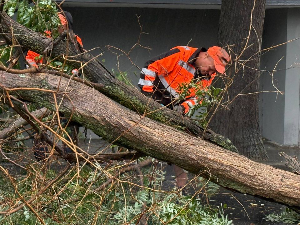 ������ ���������: ������ �������� �� ���������� ����������� ��������