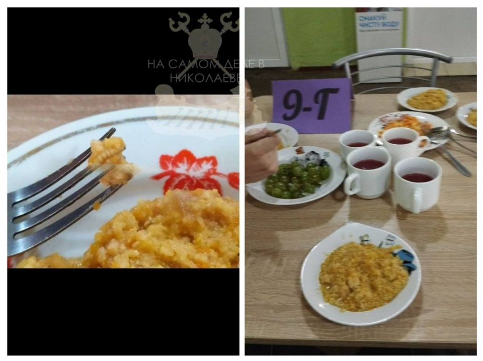 Очередной эксцесс в Николаевской школьной столовой