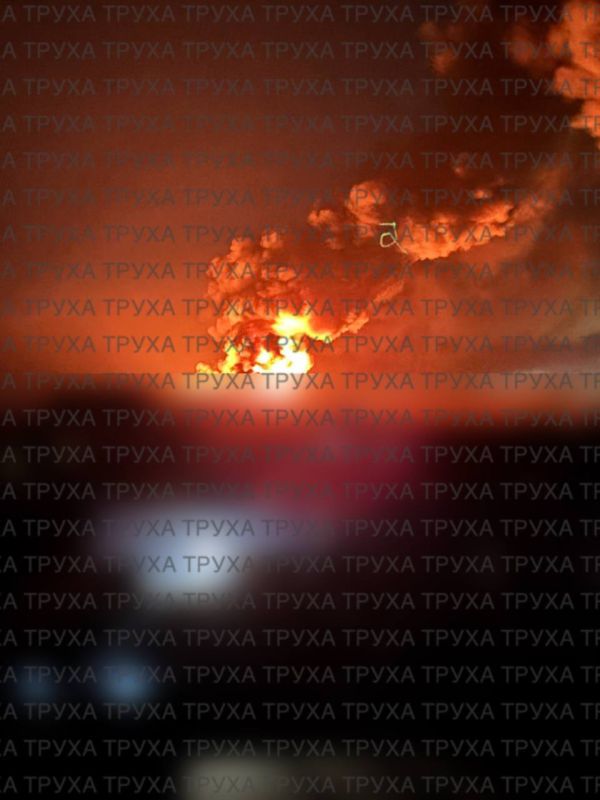 ������� � �����, �����!�: ������������� ������� ��� ������ �����