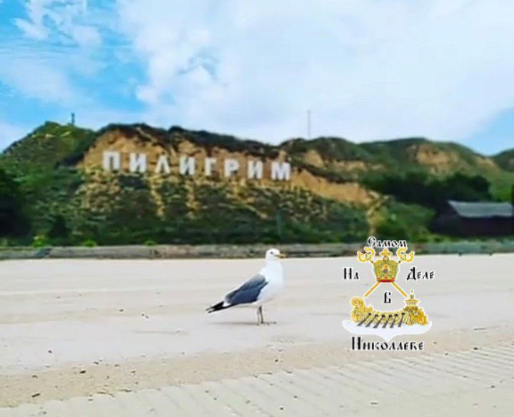 Сегодня День Города отмечает Очаков Сегодня День Города отмечает Очаков