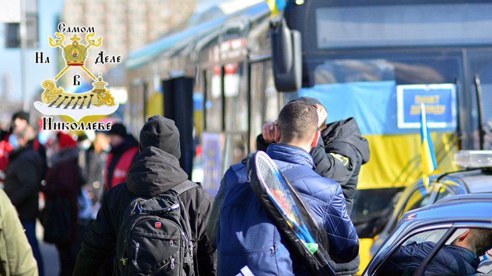  ,   BBC,      ,              28,7  