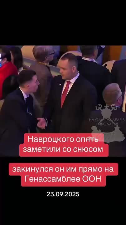 Зеленский, конечно, профи. Закинулся так, что никто не видел