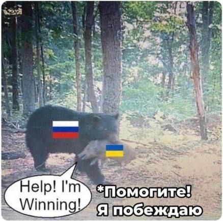 &quot;  ,      &quot;,      