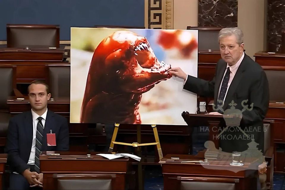 В Сенате США придумали новый способ подкармливать Киев