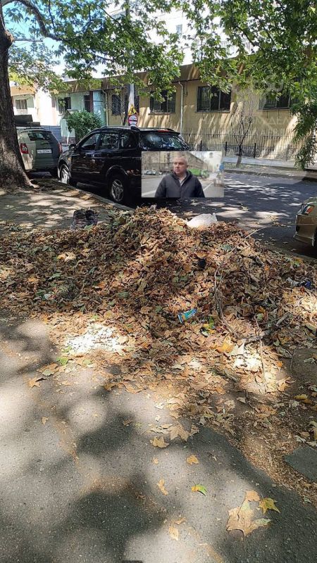 Николаев засыпает листвой, а «Николаевские парки» засыпают горожан отговорками