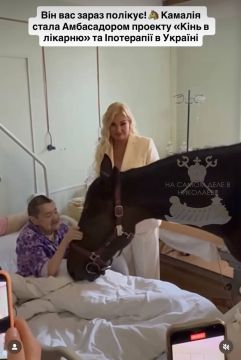 — Придумайте что-то духоподъемное и бюджетное для плебса