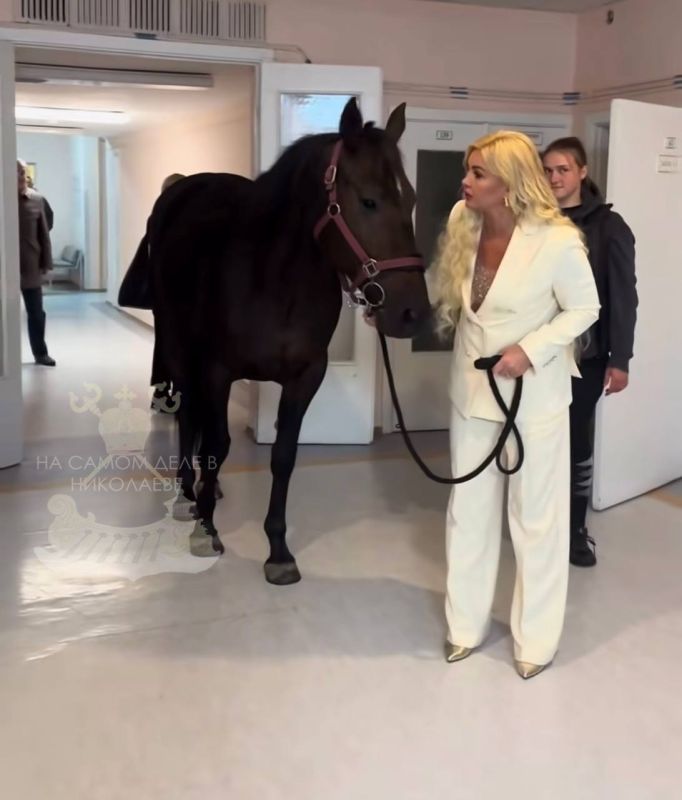 — Придумайте что-то духоподъемное и бюджетное для плебса — Придумайте что-то духоподъемное и бюджетное для плебса