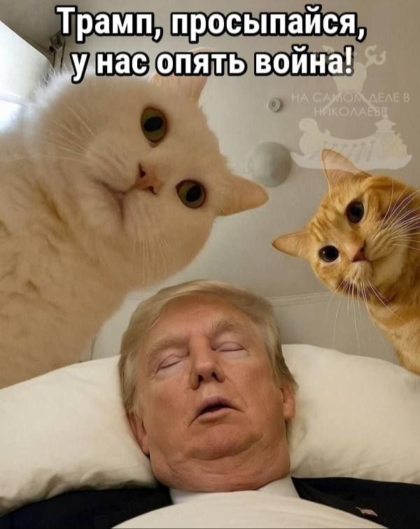 В связи с тем, что Кабул заявил об успешном завершении операции на территории Пакистана, Дональд Трамп выразил раздражение тем, что не успел на разборку