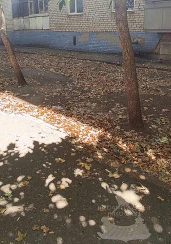 В Николаеве директор КП «Николаевские парки» Чучмай (известный соратник Сенкевича) решил «оживить» репутацию своего предприятия «лайками» В Николаеве директор КП «Николаевские парки» Чучмай (известный соратник Сенкевича) решил «оживить» репутацию своего предприятия «лайками»