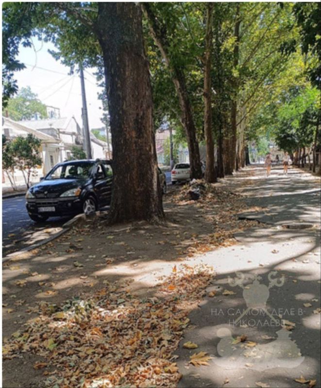 В Николаеве директор КП «Николаевские парки» Чучмай (известный соратник Сенкевича) решил «оживить» репутацию своего предприятия «лайками» В Николаеве директор КП «Николаевские парки» Чучмай (известный соратник Сенкевича) решил «оживить» репутацию своего предприятия «лайками»