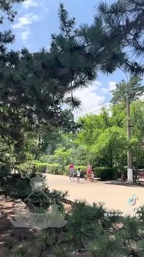 В Николаеве директор КП «Николаевские парки» Чучмай (известный соратник Сенкевича) решил «оживить» репутацию своего предприятия «лайками»