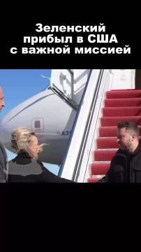 В ожидании встречи с Трампом Владимир Зеленский сфотографировался с украинскими уборщицами и пообещал вернуть их на родину после перемоги