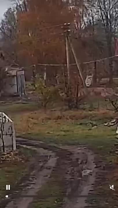 Винницкая область Калиновка ТЦК сбивает велосипедиста