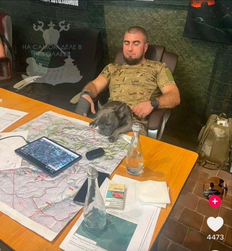 Ни дня без зрады