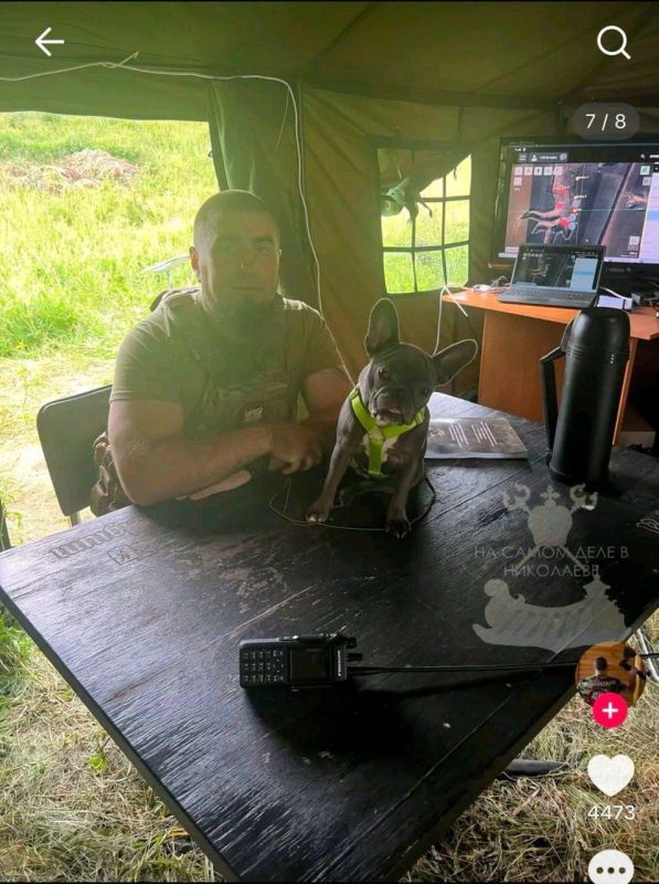 Ни дня без зрады Ни дня без зрады