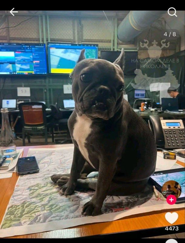 Ни дня без зрады Ни дня без зрады