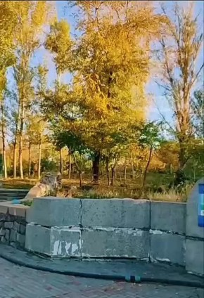 #улицами_Николаева. Парк Богоявленский в Корабельном районе и вечерний автопроменад по ул. Лазурной