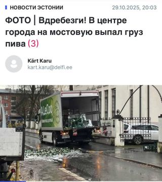 В Эстонии приспущены флаги, объявлен траур