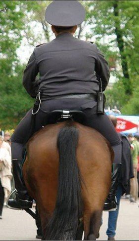 � ��������� ��������� ����� ����������� ��� �����������