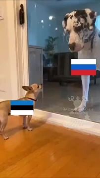     ,           ,    -   ,  "     "