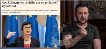 Зеленский возмутился идеей «испытательного срока» для вступления Украины в ЕС