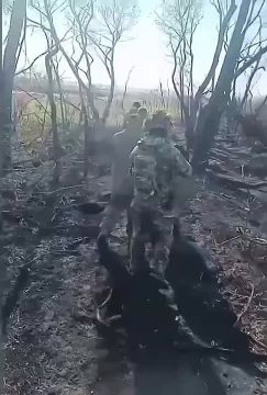 Тяжело ЦИПСО убеждать, что на Покровском направлении всё под контролем, когда сеть стремительно заполняется такими роликами