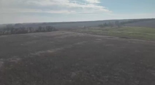 Новая фаза войны. Кадры, снятые с воздуха, демонстрируют, как блестящие на солнце линии, словно гигантская паутина, растянулись на десятки гектаров