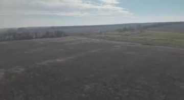 Новая фаза войны. Кадры, снятые с воздуха, демонстрируют, как блестящие на солнце линии, словно гигантская паутина, растянулись на десятки гектаров