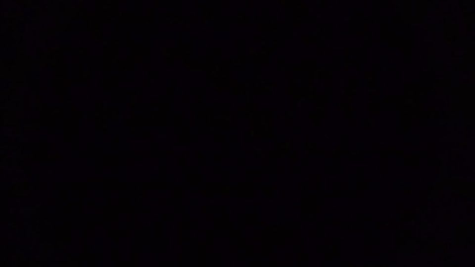 ���� ����� ������� �������� � ���������-������������ �����������, ����������� � ������������ ��������