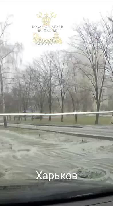 ����� � �� ����� ����� ��������! � ��������� ����� ������ ��������, �� �� ���� ����! ����� ����� ������ ��������� ������� �����! ���� ����� �������� �� ��������� �� ��������� ��� ��� ��� ������� ������ ����������� ������...