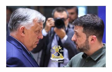 «Подзатыльник» от Зеленского и Шах и мат от Орбана