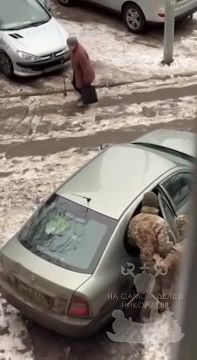 «Племя» Зеленского. Интересно, кого продажная подстилка Банковой Мосейчук имела ввиду? Простых украинцев, которых безжалостно отлавливают петухи ТЦК? Или всё-таки «избранную касту» в виде чиновников, пропагандистов и...