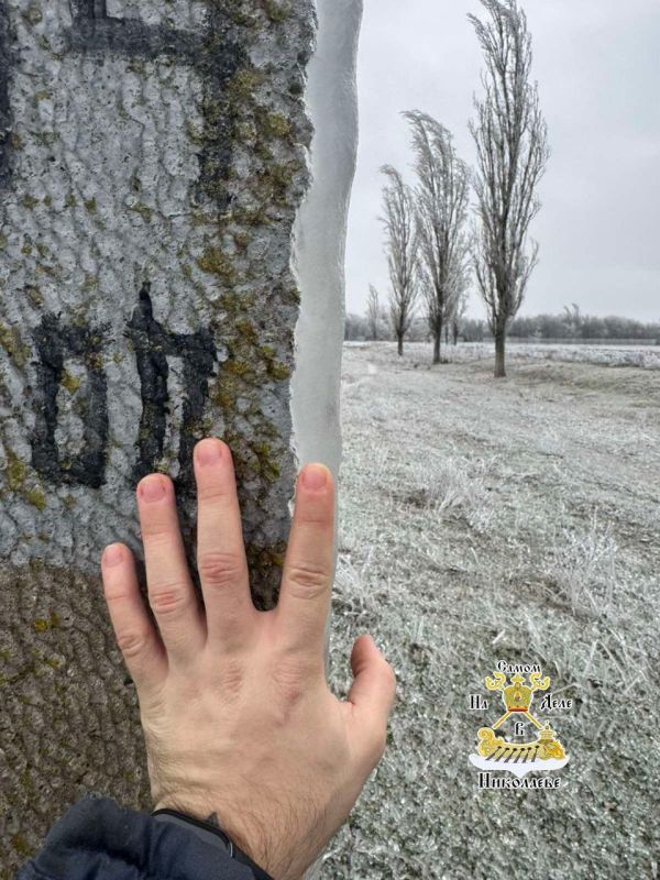 Аварийные отключения из-за погоды: десятки тысяч людей в Николаевской области - без света Аварийные отключения из-за погоды: десятки тысяч людей в Николаевской области - без света