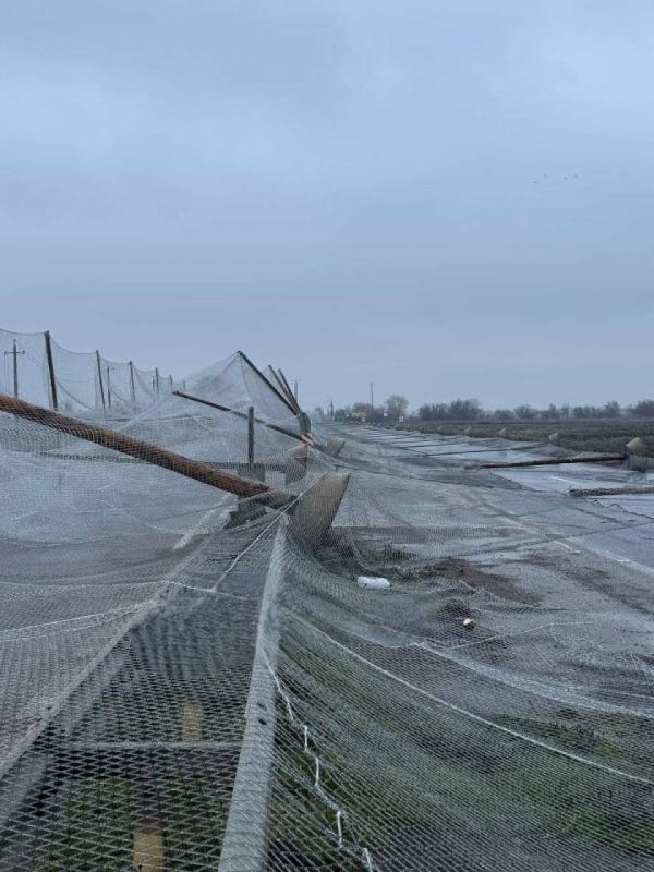 ��������, ��� �� ������ �� ��������� � ������ � ��� ��������� ������� ������� ������������ ������