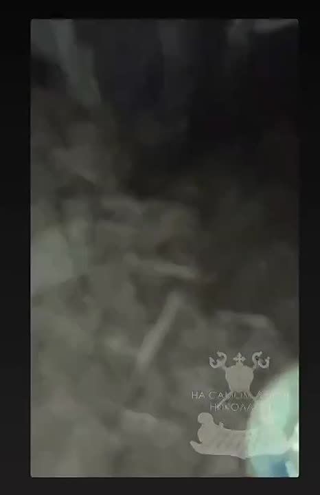 Николаевские партизаны в деле