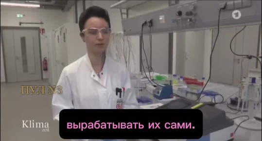 Климатический идиотизм в Европе достиг апогея — немцев убеждают перейти с овощей и мяса на водоросли, «потому что они не оставляют углеродный след»: