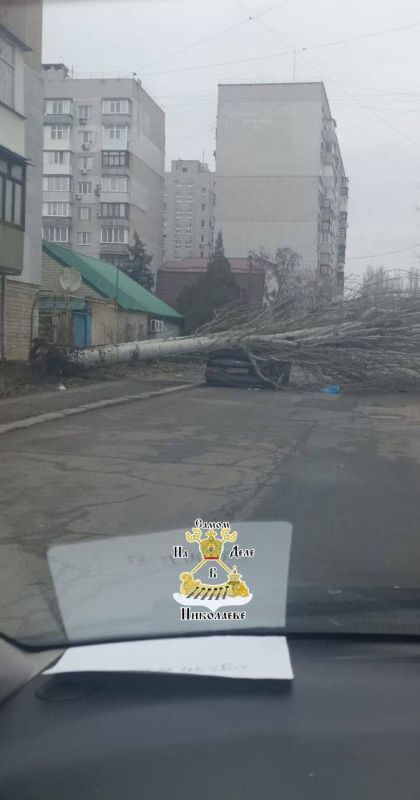 30 ����� �� �����������. �� ����������� ����, 17 �������, � ���������� ��������� ������������� ����� ��������� ����� 30 ��������� �� ������� ���������, ���������� ���������� �������� � ��������� �����