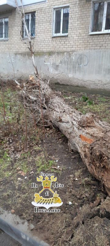 30 ����� �� �����������. �� ����������� ����, 17 �������, � ���������� ��������� ������������� ����� ��������� ����� 30 ��������� �� ������� ���������, ���������� ���������� �������� � ��������� �����