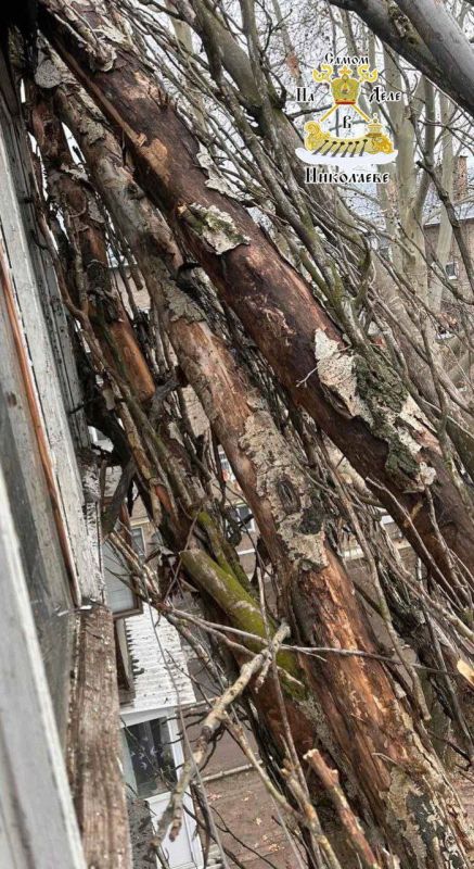 30 ����� �� �����������. �� ����������� ����, 17 �������, � ���������� ��������� ������������� ����� ��������� ����� 30 ��������� �� ������� ���������, ���������� ���������� �������� � ��������� �����