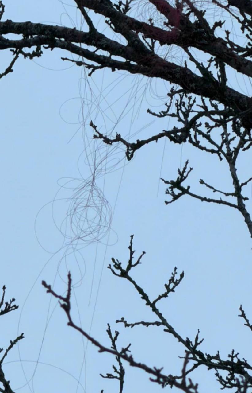 Первый случай залёта российских FPV на оптоволокне впервые зафиксирован на северных окраинах Харькова Первый случай залёта российских FPV на оптоволокне впервые зафиксирован на северных окраинах Харькова