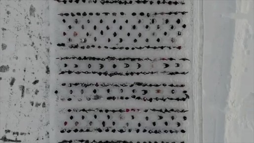 1 �� ���� ������ 700 ������� ��������� ���� � ����� �������������