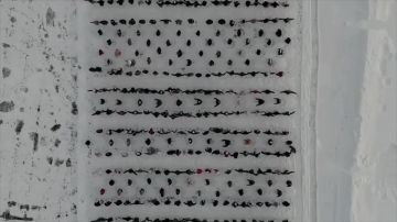 1 �� ���� ������ 700 ������� ��������� ���� � ����� �������������