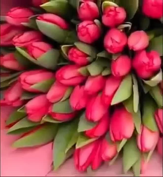 Наши милые, нежные, весёлые, загадочные, романтичные, абсолютно разные и прекрасные женщины, поздравляем Вас с Международным женским днём 8 — праздником весны, красоты, любви и вдохновения!