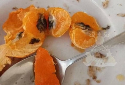 � ������������ ����� � 38 ����� �� ���� ������ ������ ���������