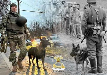 �������� 1940-� = ������� 2026