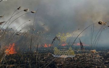 День огня в области: 15 пожаров за сутки