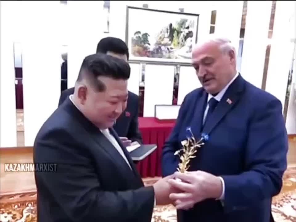 «Это наш василёк — символ Беларуси»